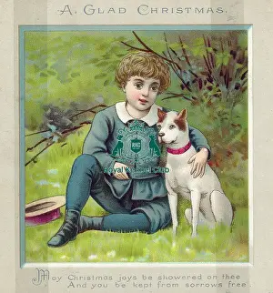 Celia Haddon Prints: The Celia Haddon Collection