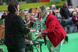 Breed Judging Prints: Ceranda Gower Diamond JW