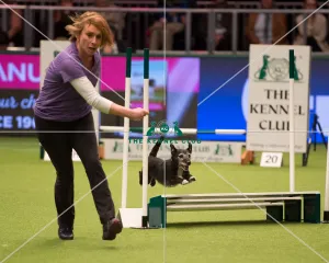 Championship Agility main arena