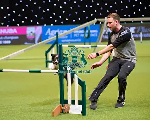 Championship Agility main arena