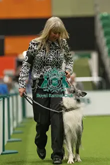 Championship Obedience Prints: Championship Dog Obedience - 1st Place