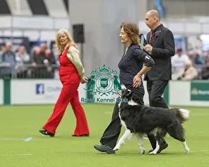Championship Obedience Prints: Championship Dog Obedience - 2nd Place
