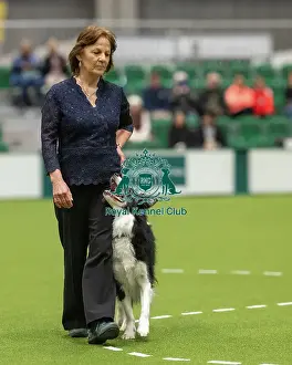 Championship Obedience Prints: Championship Dog Obedience - 2nd Place