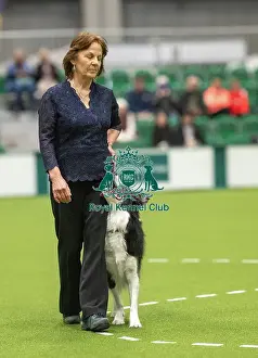 Championship Obedience Prints: Championship Dog Obedience - 2nd Place