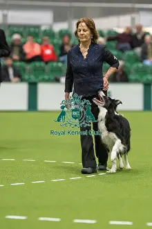 Championship Obedience Prints: Championship Dog Obedience - 2nd Place