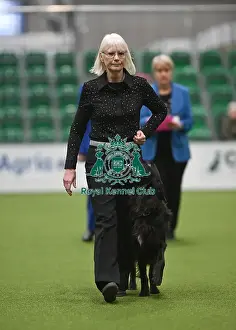 2025 Prints: Championship Obedience Dogs