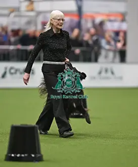 2025 Prints: Championship Obedience Dogs