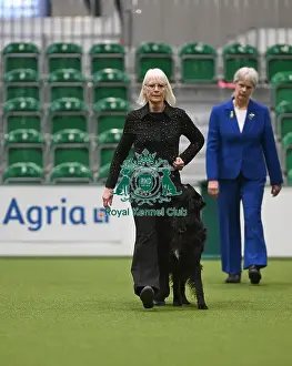2025 Prints: Championship Obedience Dogs