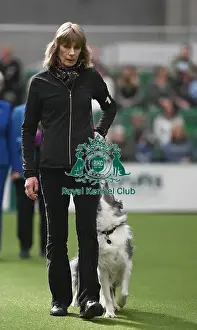 2025 Prints: Championship Obedience Dogs