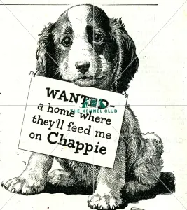 Chappie dog food advert Chappie dog food advert