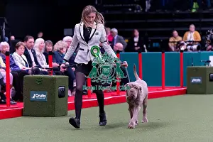 Boston Prints: Charlotte Evans from Boston, Linconshire with Georgie