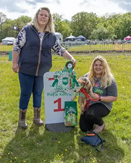 Chelmsford Prints: Chelmsford Dog And Owner Scruffts Family Crossbreed Competition
