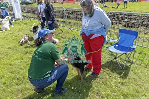 Chelmsford Prints: Chelmsford Scruffts Family Crossbreed Competition