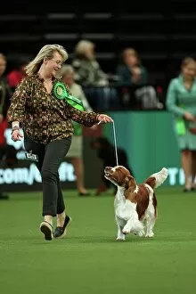 Official photos from Crufts 2023: Christina Drottsgard and Gudrun Brownstrom from Sweden with Archie, a Welsh Springer Spaniel