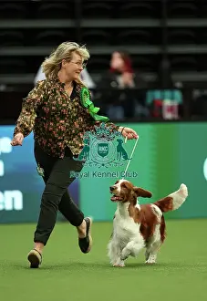 Christina Drottsgard and Gudrun Brownstrom from Sweden with Archie, a Welsh Springer Spaniel, which was the Best of Breed winner today (Thursday 09. 03. 23), the first day of Crufts 2023, at the NEC Birmingham