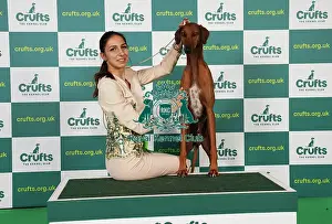 Christina Kostadinova from Romania with Bahir, a Azawakh which was the Best of Breed winner today (Saturday 11. 03. 23), the third day of Crufts 2023, at the NEC Birmingham