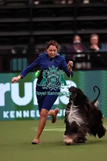 Claire Millward and Liz Millward from Sheffield with Alfie, an Afghan Hound, which was the Best of Breed winner today (Saturday 11. 03. 23), the third day of Crufts 2023, at the NEC Birmingham