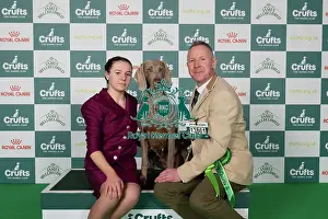 Crufts 2025 BeatMedia Prints: Colin Nugent and Dearbhla Nugent from Armagh