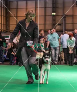 Competing