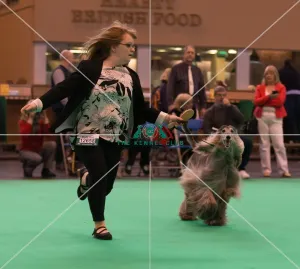 Competing