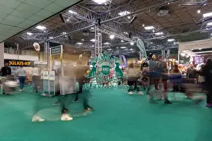 Crowd Prints: Crowd arriving in the NEC halls at Crufts