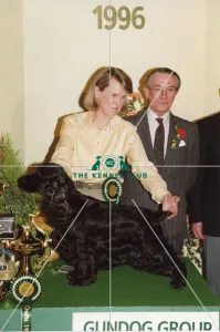 Crufts 1996 Gundog Group Winner