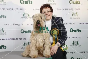 Crufts 2009 Best of Breed Winner