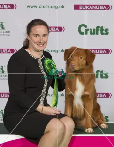Crufts 2015