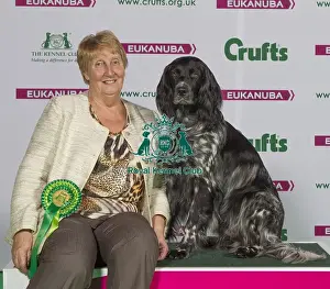 Crufts 2015