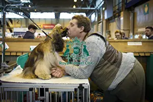 Crufts 2015 Prints: Crufts 2015