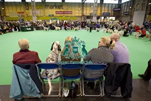 Crufts 2015