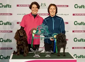 Crufts 2015