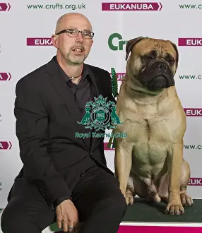 Crufts 2015