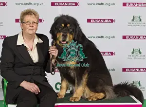 Crufts 2015