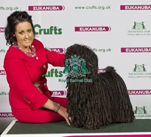 Crufts 2015