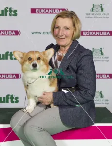 Crufts 2015