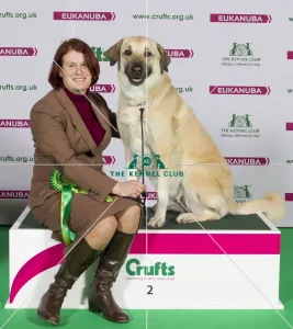 Crufts 2015