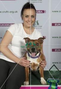 Crufts 2015