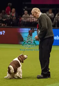 Crufts 2015