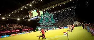 Crufts 2015