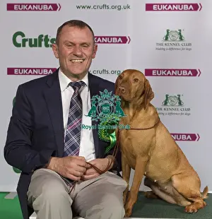 Crufts 2015