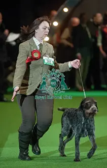 Crufts 2015