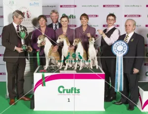 Crufts 2015