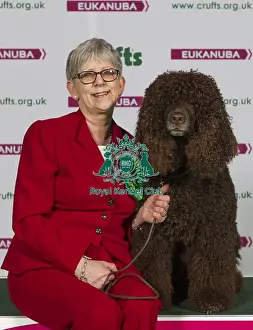 Crufts 2015