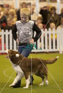 Crufts 2015