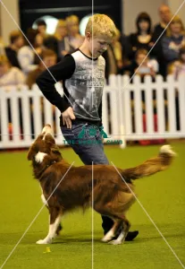 Crufts 2015