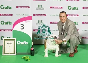 Crufts 2015