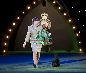 Crufts 2015