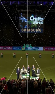 Best in Group, Crufts 2015