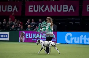 Crufts 2015